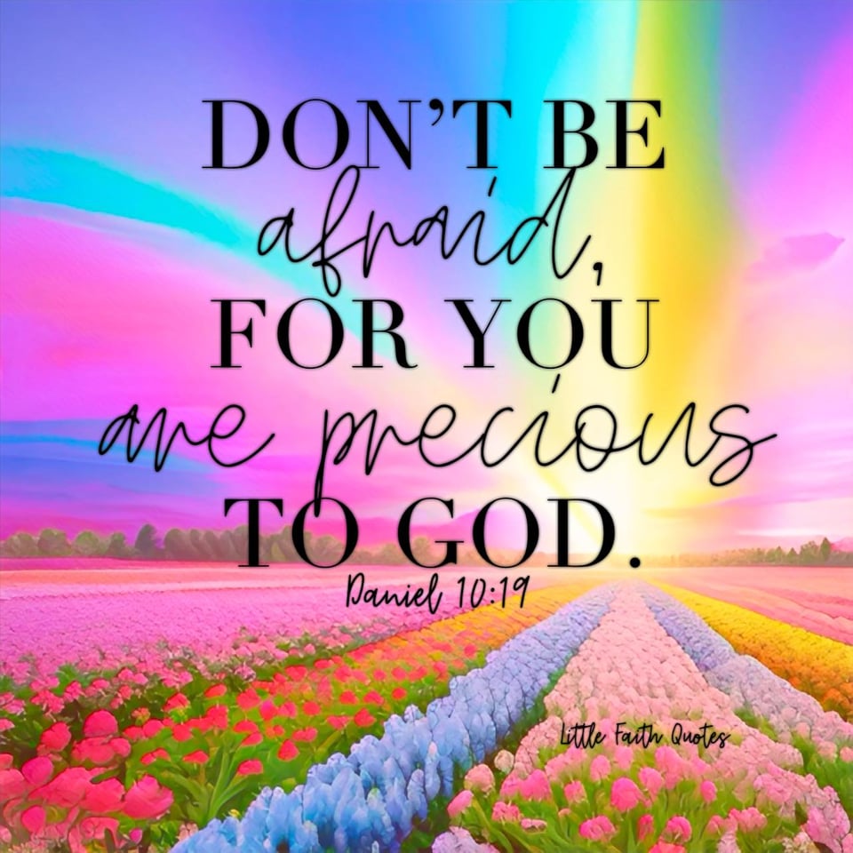 “Don’t be afraid,” he said, “for you are very precious to God. Peace! Be encouraged! Be strong!” As he spoke these words to me, I suddenly felt stronger and said to him, “Please speak to me, my lord, for you have strengthened me.” ~Daniel 10:19. A rainbow sky pops above a meadow of red, blue, yellow, and pink flowers. Image by: @Little Faith Quotes.........................