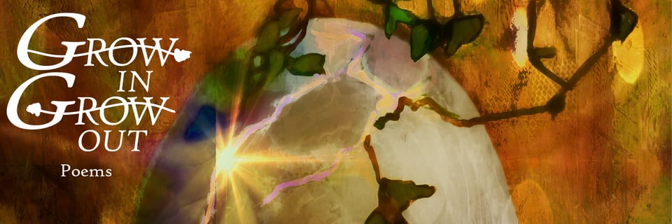 Grow In Grow Out Cover Art