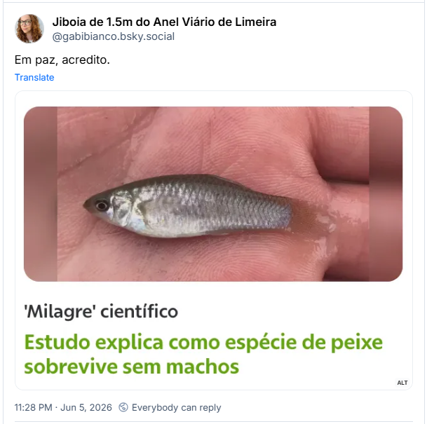 Post de Jiboia de 1.5m do Anel Viário de Limeira (@gabibianco.bsky.social): Em paz, acredito.
(Imagem de um pequeno peixinho prateado na palma da mão de um humano. Junto a ela a manchete: "'Milagre' científico:
Estudo explica como espécie de peixe sobrevive sem machos")