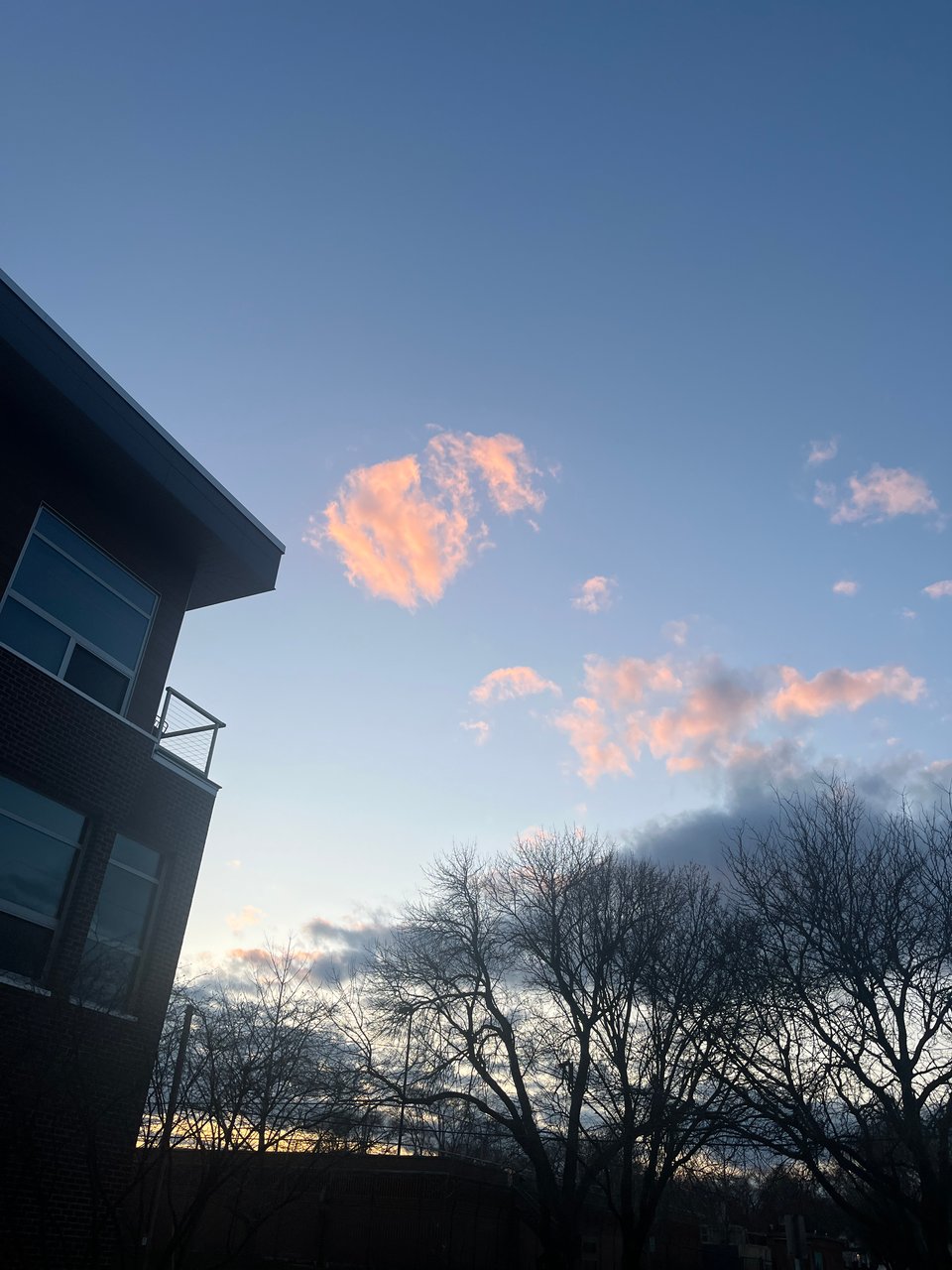 light rose gold clouds in faded blue sky above trees and the edge of a building