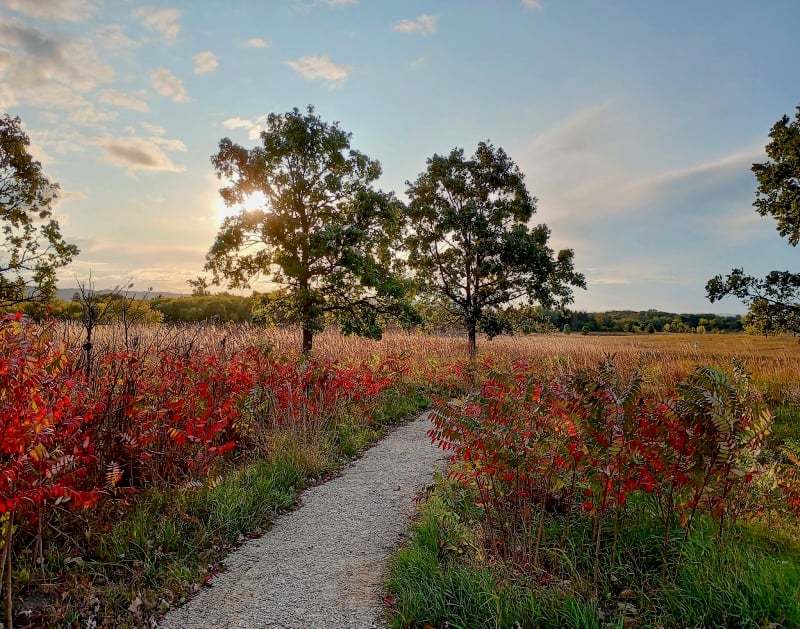 The sun rises on the little prairie trail behind the park headquarters on a cool fall day. / Photo by Jake Gaster