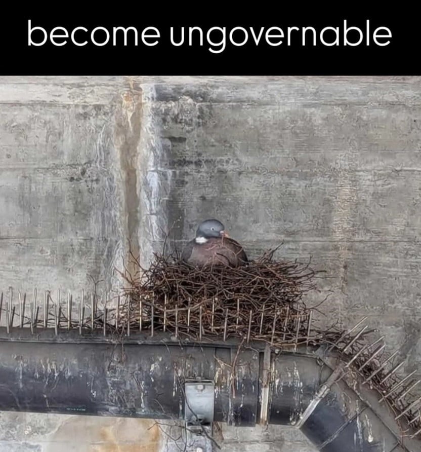 Text at the top of the image reads "Become Ungovernable". Beneath is a photo of a bird (looks like a pigeon, but they're notoriously bad at building nests, so I'm not sure), which has built a nest on top of anti-bird spikes on a black pipe. The base of the nest is so thick with twigs that the bird is sitting comfortable well above the spikes.