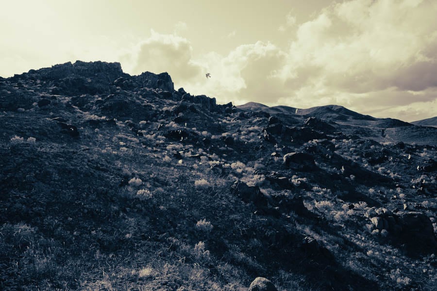 A bird flies over a rocky desert hill.