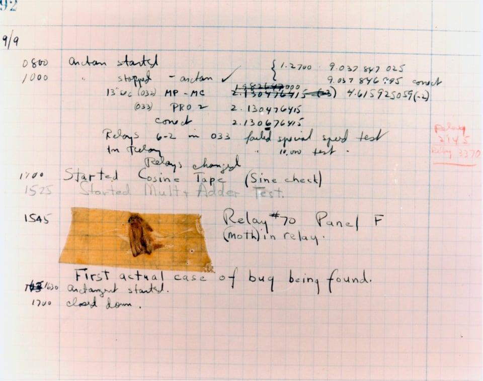lined paper with notes in black ink and a brown moth taped to the page