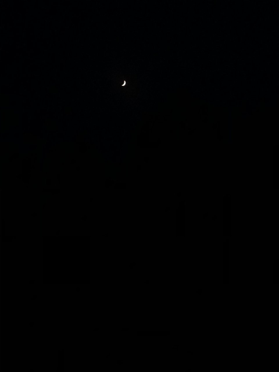 A crescent moon in the night sky