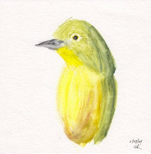 Watercolor of a Japanese White-Eye bird in profile