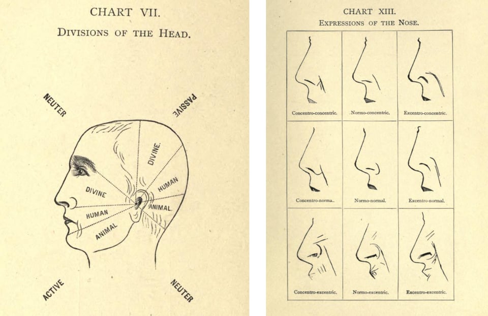 Two yellowed pages from an old book with hand drawings. On the left, a human head in profile, divided into pie-chunk segments labelled "divine", "human", and words floating around the head labelled ""passive", "active", "neuter". The label of the drawing is "divisions of the head". On the right hand page is a 3X3 grid with drawings of noses, labelled "expressions of the nose". Some of the noses are labelled things like "excentro-eccentric", with the nose looking scrunched up (bottom right) versus "concentro-concentric" with the nose looking restful and normal (top left). All the segments between those two poles become increasingly scrunched up