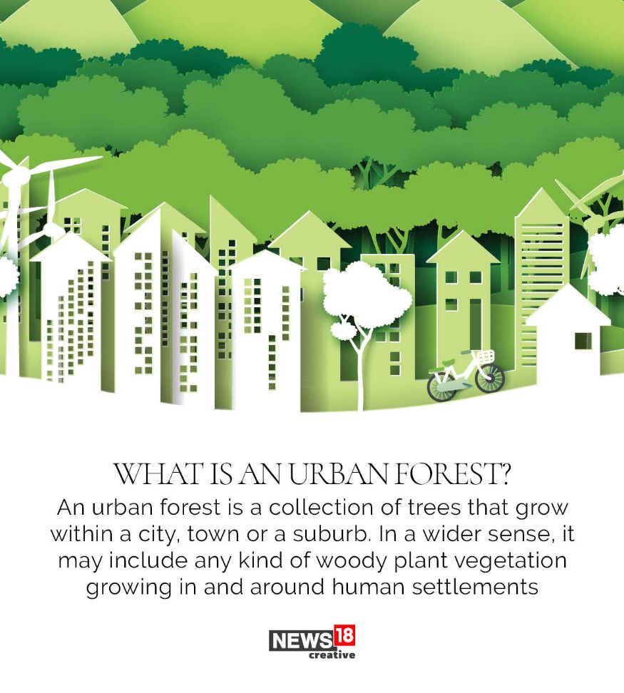 Image from News18 explaining that an urban forest is all of the trees and woody plant vegetation growing in and around human settlements.