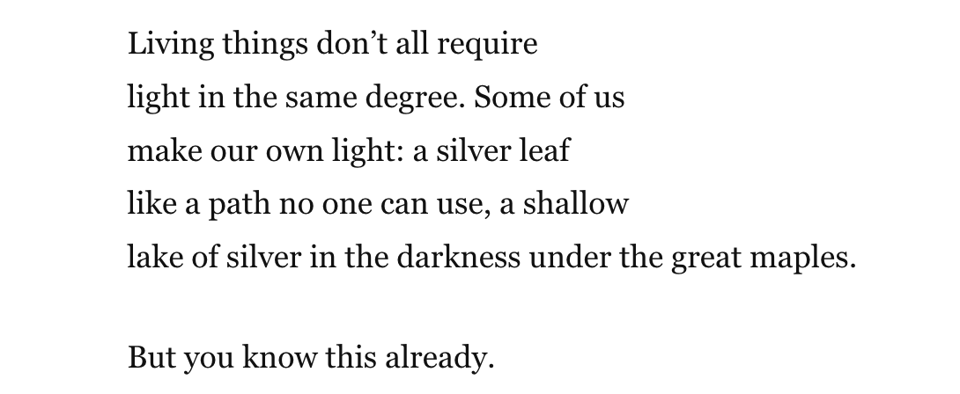 A section from Louise Glück's poem: "Living things don’t all require/ light in the same degree. Some of us/ make our own light: a silver leaf/ like a path no one can use, a shallow/ lake of silver in the darkness under the great maples./  But you know this already.