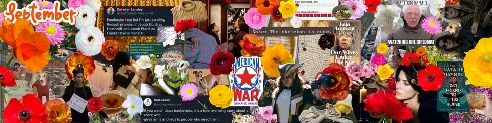 A very busy digital collage showing memes, photographs and screenshots collected by the author over the month of September. You can find a more detailed view on her instagram.