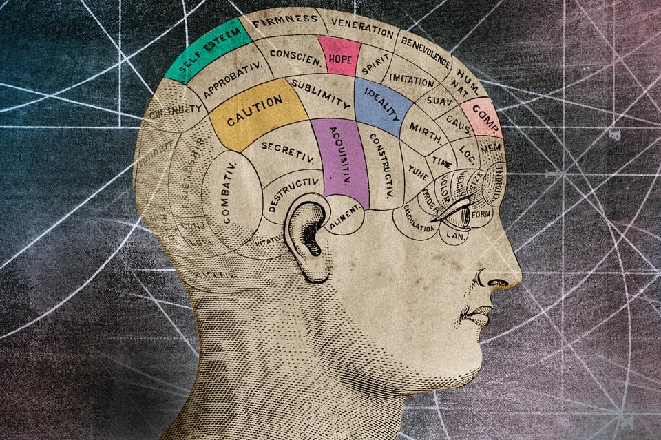 An image of phrenology, with regions of the brain divided by lines