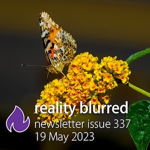 A multicolored butterfly standing on a plant made up of small yellow flowers with red interiors; the words 'reality blurred newsletter issue 337, 19 May 2023' are at the bottom