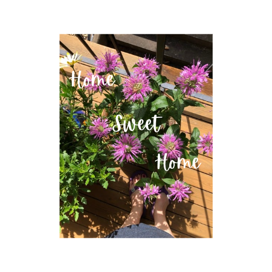 Photo taken from above, of a planter on my deck, with spiky purple flowers. I took it looking straight down, so you can also see my feet in flip-flops peeking out from beneath a couple of the flowers. It was a sunny day.
