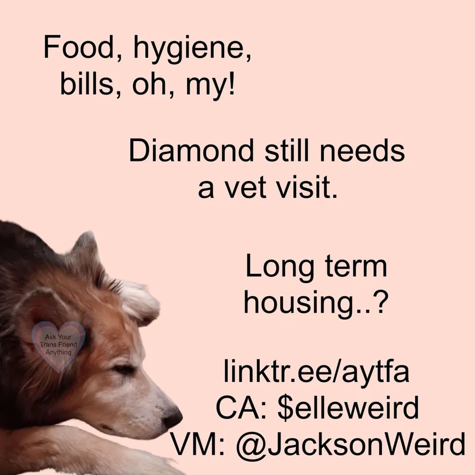 Mutual aid graphic of a sleeping husky mix. Text on the graphic is 'Food, hygiene, bills oh my! Diamond still needs a vet visit. Long term housing..?' With links directing you to CA $elleandhusband VM: @JacksonWeird linktr.ee/aytfa