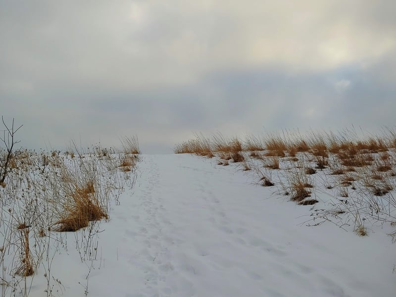 The trail up to the park’s newer Wacouta Bluff area. / Photo by Pamela Miller