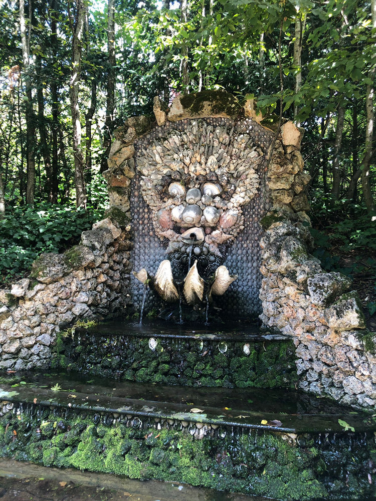 This Sunday's hangouts