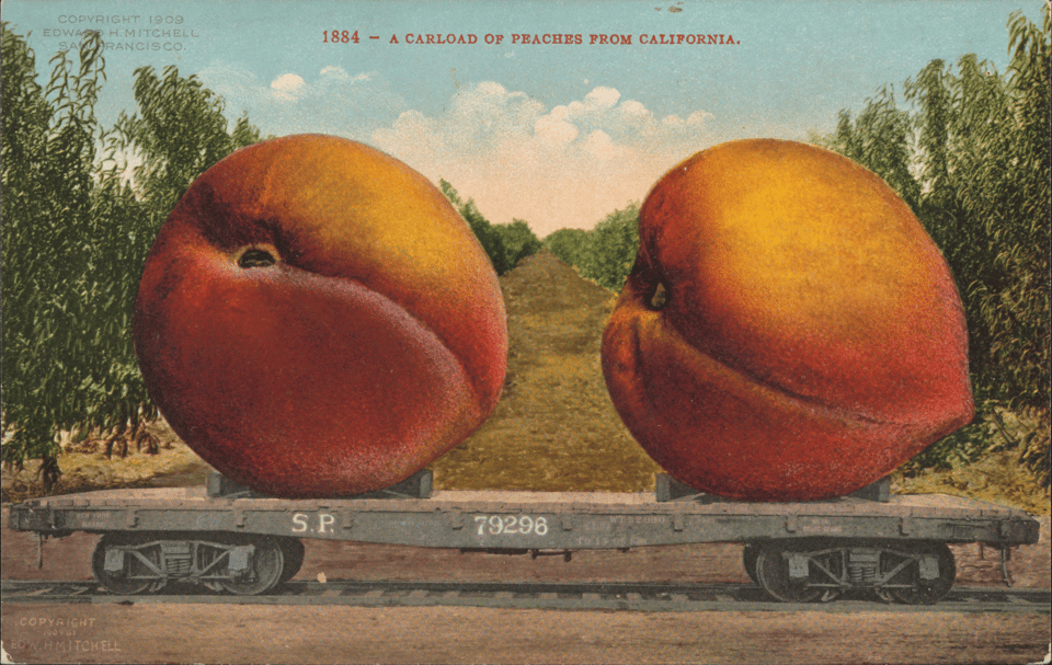A photo composite of giant peaches on a flatbed rail car
