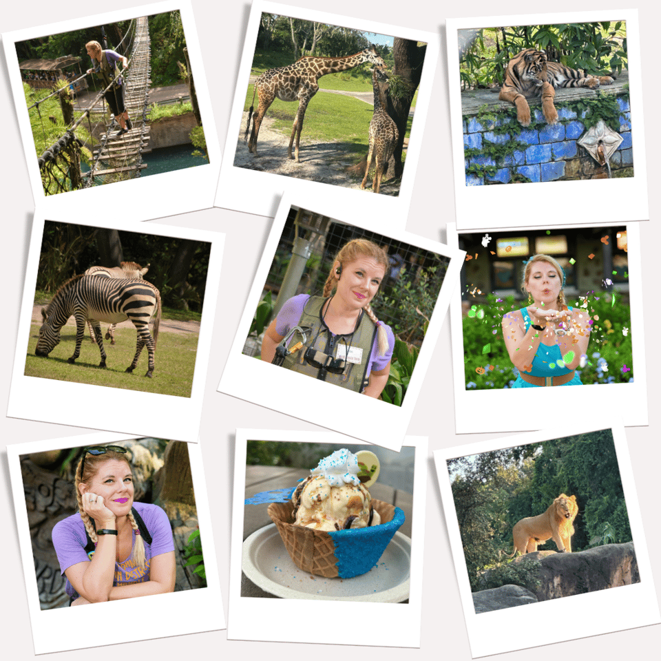 Collage of pictures of Cass at Disney's Animal Kingdom, as well as some of the animals she saw there (zebra, giraffe, lion, tiger), and a delicious sundae.