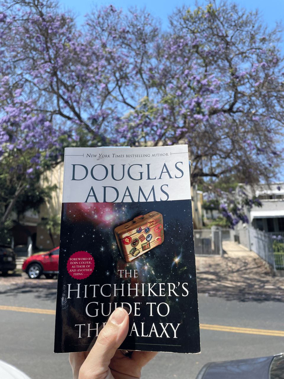 The book, Hitchhikers Guide To The Galaxy held in front of blooming purple jacaranda tree