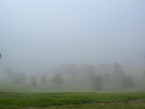 a green field on a foggy day
