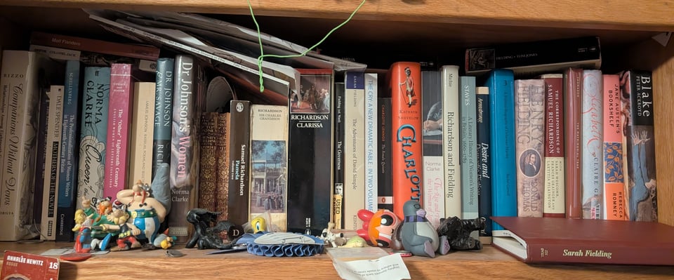 A bookshelf crammed with 18th century novels and books about 18th century literature and politics