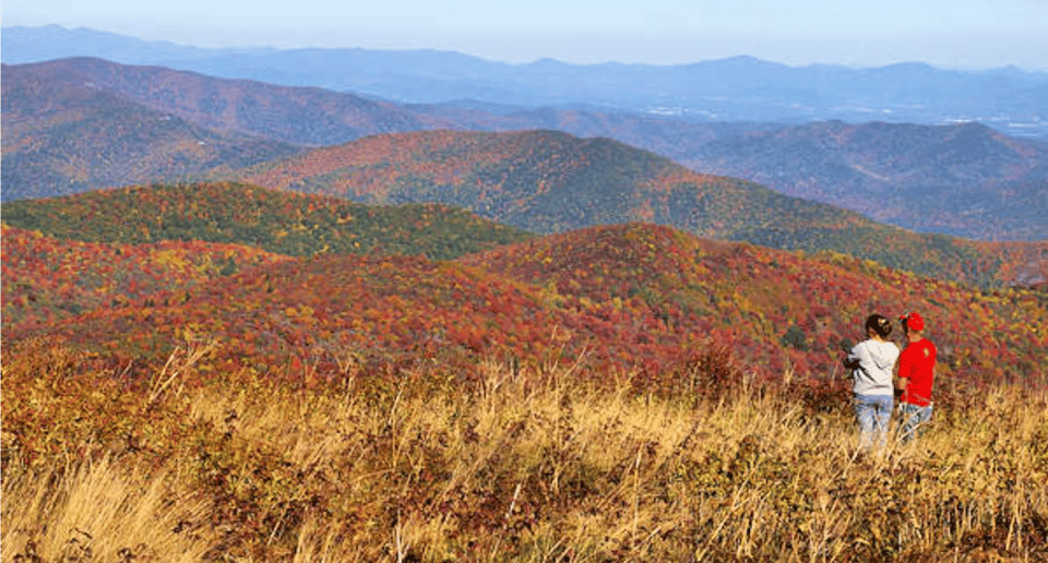 two persons looking over mountains covered with fall-colored trees