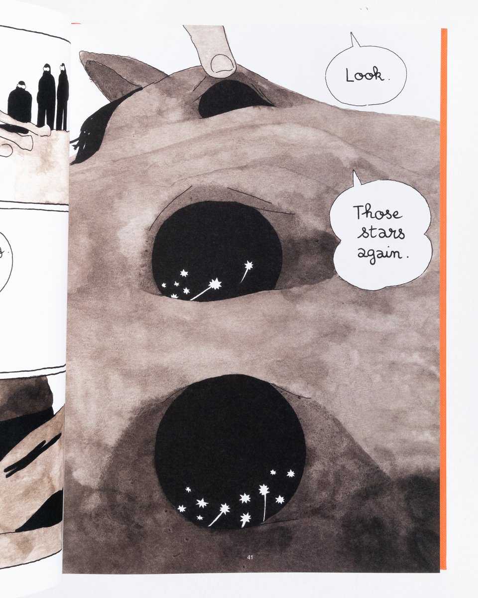 A page from Metax by Antoine Cosse. A panel-less, but clearly three tiered page of a dead horses head. Cosse slowly zooms in on the pupil of the horse which is full of stars, apparently moving around. Someone examining the horse says "Look. Those stars again"