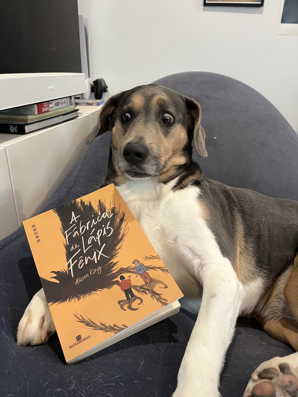 Woody with the Brazilian edition of The Phoenix Pencil Company