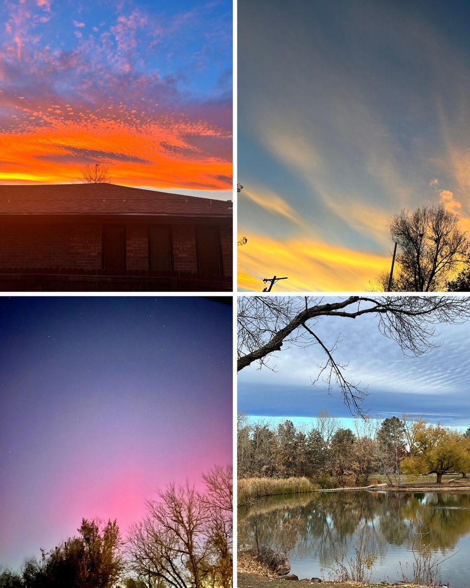 Four images of the sky and clouds and trees at various times of day