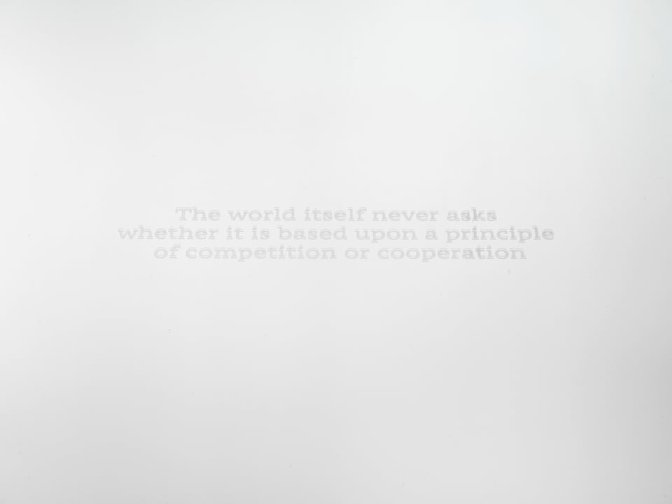 a mirror engraved with the text "The world itself never asks whether it is based upon a principle of competition or cooperation"