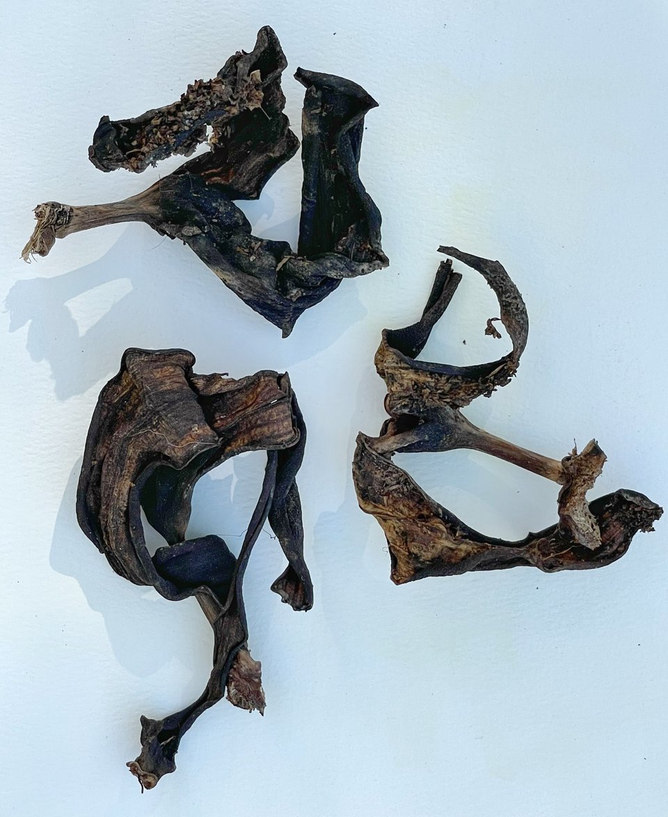 an overhead image of 3 dark shapes made from dried banana peels