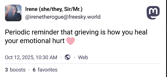 Periodic reminder that grieving is how you heal your emotional hurt 🩷
