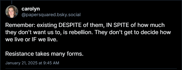Screenshot of Bluesky post saying: Remember: existing DESPITE of them, IN SPITE of how much they don't want us to, is rebellion. They don't get to decide how we live or IF we live. Resistance takes many forms.