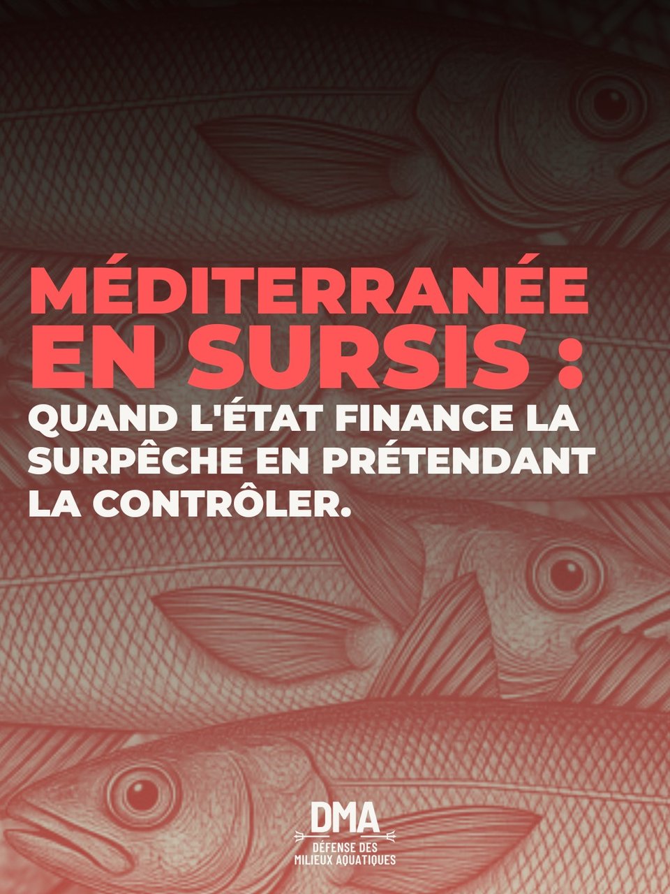 Comment prétendre protéger la mer tout en distribuant des aides sans aucun contrôle ? C'est le paradoxe que vit actuellement le merlu en Méditerranée.
Selon l'ONU (FAO) et les comités scientifiques européens (CSTEP), la Méditerranée demeure l'une des mers les plus surpêchées au monde, et le Golfe du Lion reste la principale nurserie de ses merlus.
Dans ce bassin fermé particulièrement fragile, le merlu est toujours capturé jusqu'à 10 fois au-dessus du seuil de renouvellement durable. Pour tenter d'enrayer l'effondrement de l'espèce, l'État avait promis de réduire la cadence des chalutiers.
Entre 2020 et 2024, la pression de pêche sur les poissons de fond en Méditerranée occidentale devait ainsi être réduite de 40 %. Mais les autorités semblent aujourd'hui s'étonner que le merlu reste massivement surexploité !
Un arrêté du 26 mai 2026 prévoit d'indemniser 30 jours d'arrêt de pêche pour les chalutiers du Golfe du Lion, afin de réduire à nouveau cette pression.
Problème : il ne s'agit pas d'une période d'arrêt collective imposée à tous les navires en même temps, comme cela avait été fait dans le Golfe de Gascogne pour protéger les dauphins. Dans le Golfe du Lion, chaque pêcheur éligible doit simplement déclarer sur l'honneur sa propre liste de jours d'arrêt (passés et à venir), sans avoir à fournir de justificatif.
Concrètement, un pêcheur pourra donc être indemnisé pour 30 jours d'arrêt pris pour n'importe quelle raison (des congés, par exemple), sans que cela ne réduise réellement l'activité de pêche globale.
Cette aide publique ne respecte pas les règles prévues par le traité de l'Union européenne : elle n'apporte aucune baisse réelle de la pêche et aurait dû servir à financer des caméras embarquées. Ces contrôles vidéo auraient enfin permis de comprendre l'énigme de cette surpêche.
Le merlu de Méditerranée va donc rester surexploité, avec l'aide de l'argent public.
Comme pour le changement climatique, nous basculons dans une dystopie halieutique : un scénario de comédie noire où le grotesque se mêle à la farce orwellienne, pour reprendre les mots de Stéphane Foucart.
https://www.lemonde.fr/idees/article/2026/07/12/nous-sommes-coinces-dans-une-dystopie-climatique-un-scenario-de-comedie-noire-ou-le-grotesque-le-dispute-a-la-farce-orwellienne_6722848_3232.html?srsltid=AfmBOorjgUrPKlXDxvn-bEGTb7TE7WZErkZYtgfJNNrdEysgWwxAqJMV