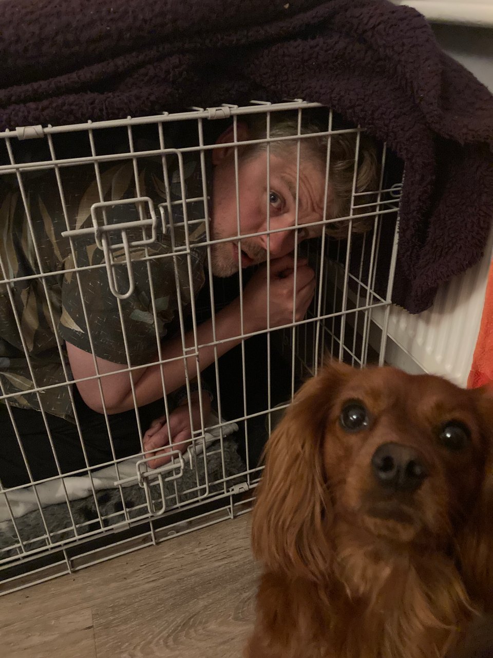 Your writer, stuck in a crate, as Radio looks on in confusion.