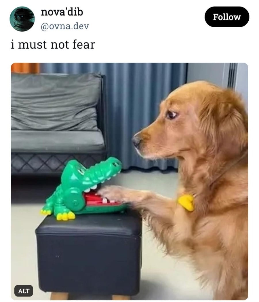 @ovna.dev: "i must not fear" - below the text is a photo of a dog with a serious look on its face and its paw in the mouth of some sort of snapping alligator toy.