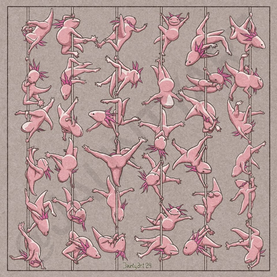 It's an image of six pole dancing poles, and a bunch of pink axolotls doing pole moves on them.