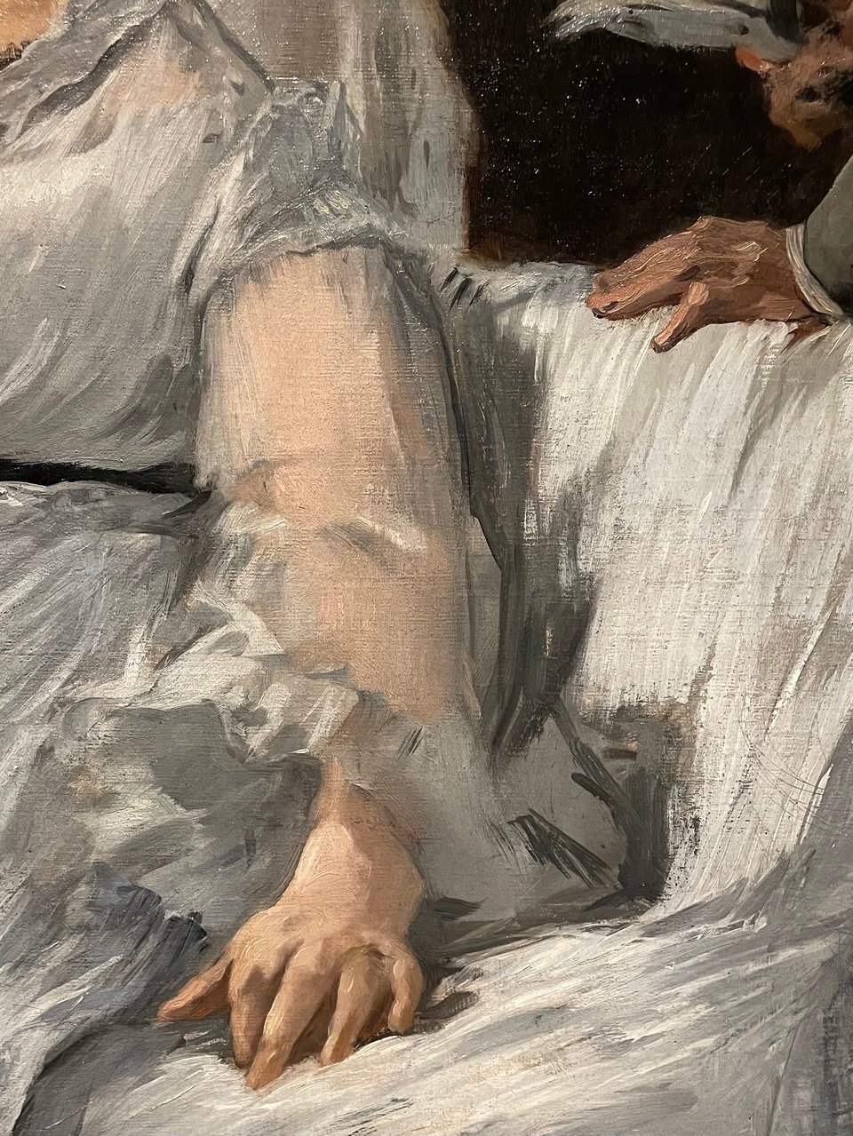 A close up of Suzanne's arm, with a diaphanous sleeve over her arm.