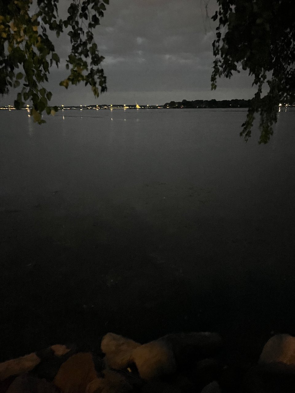 lakeshore on a cloudy night, with a gradient of dark water, stones in the foreground, leafy branches framing the top of the picture, and city lights on the other side