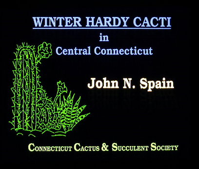 a presentation on cacti