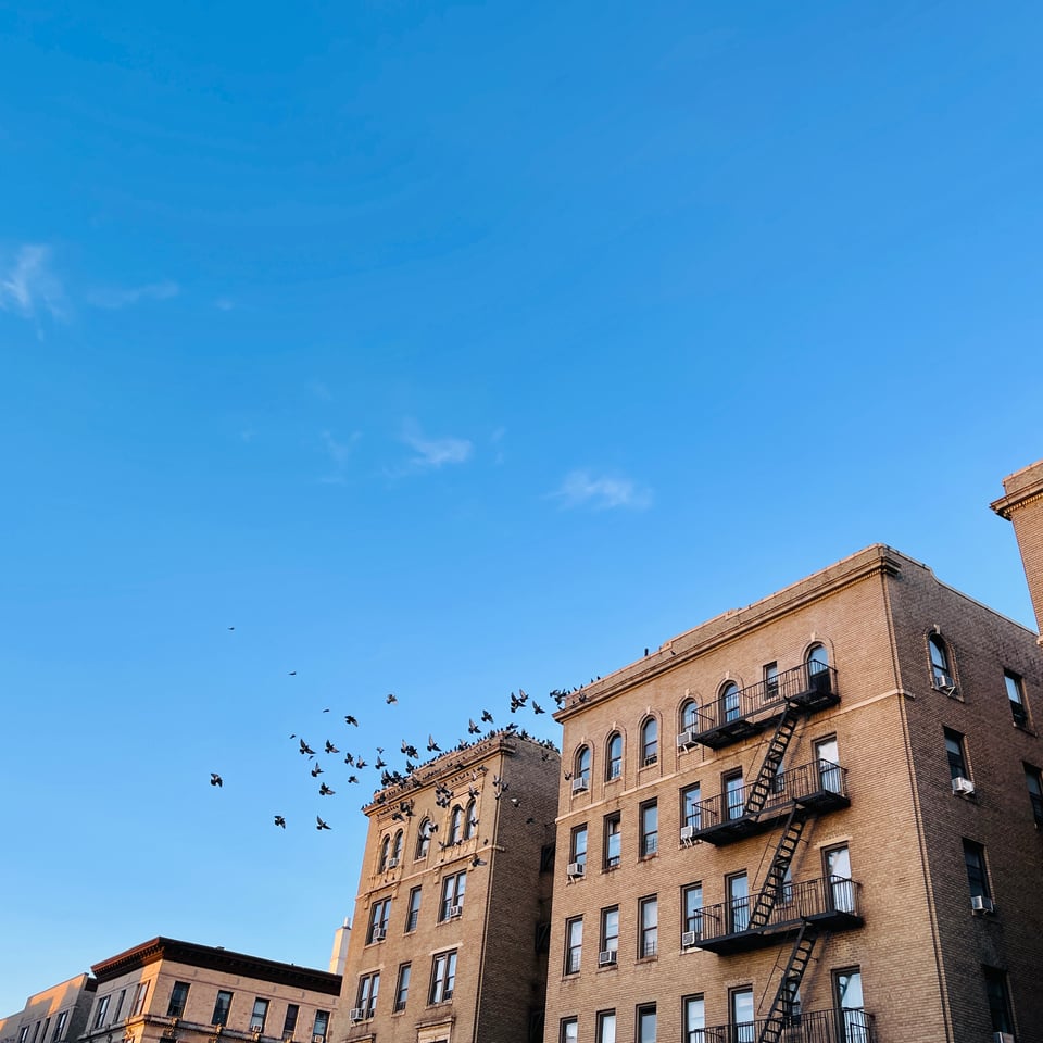 Briliant blue sky with art deco building, pigeons flying, no people, just sky and air of Washington Heights.
