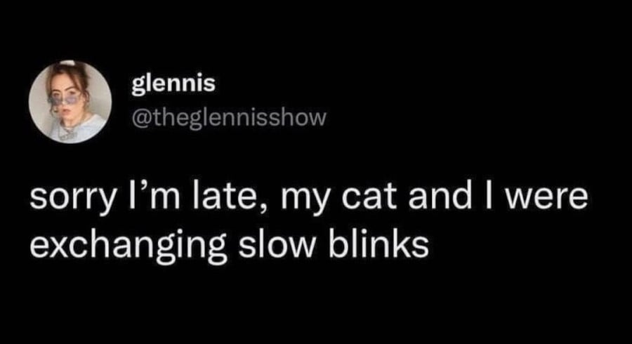 Twitter screenshot. @theglennisshow: sorry I'm late, my cat and I were exchanging slow blinks