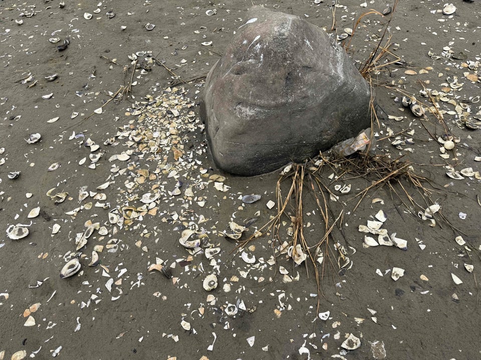 a rock surrounded by broken shells in the sand