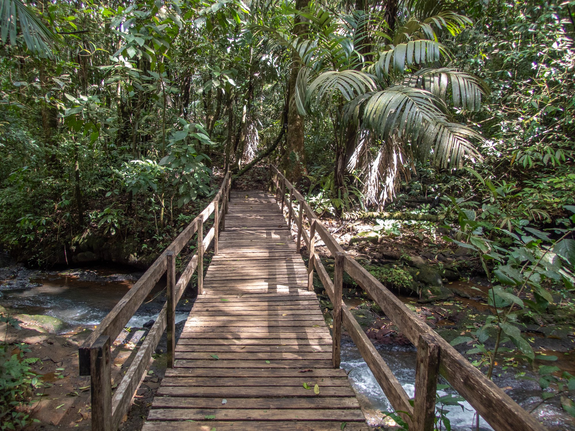 Costa Rica winter camp 2027