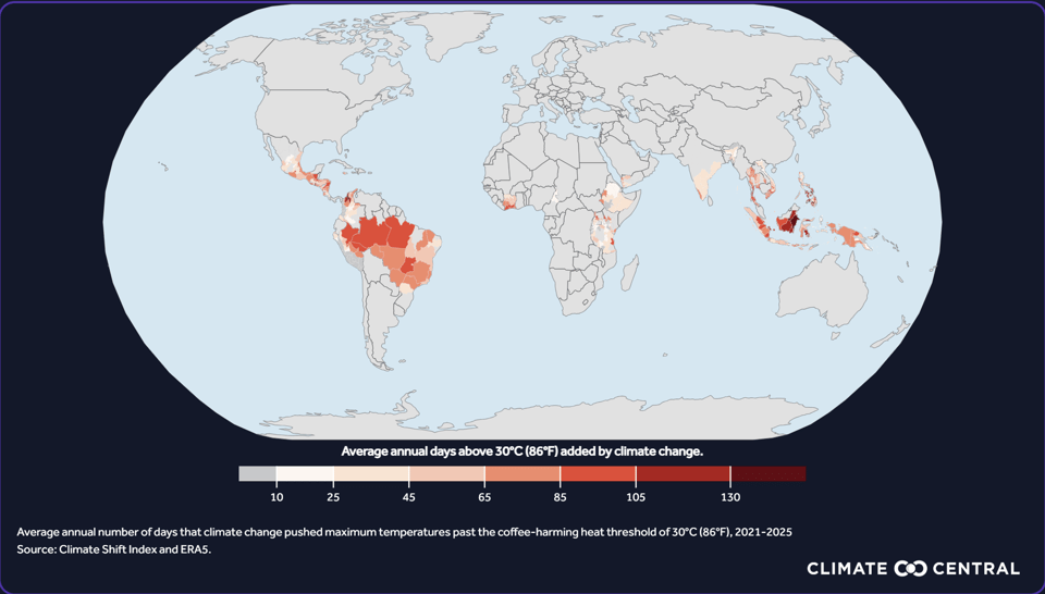 Climate Change is (Still) Wrecking Your Daily Coffee