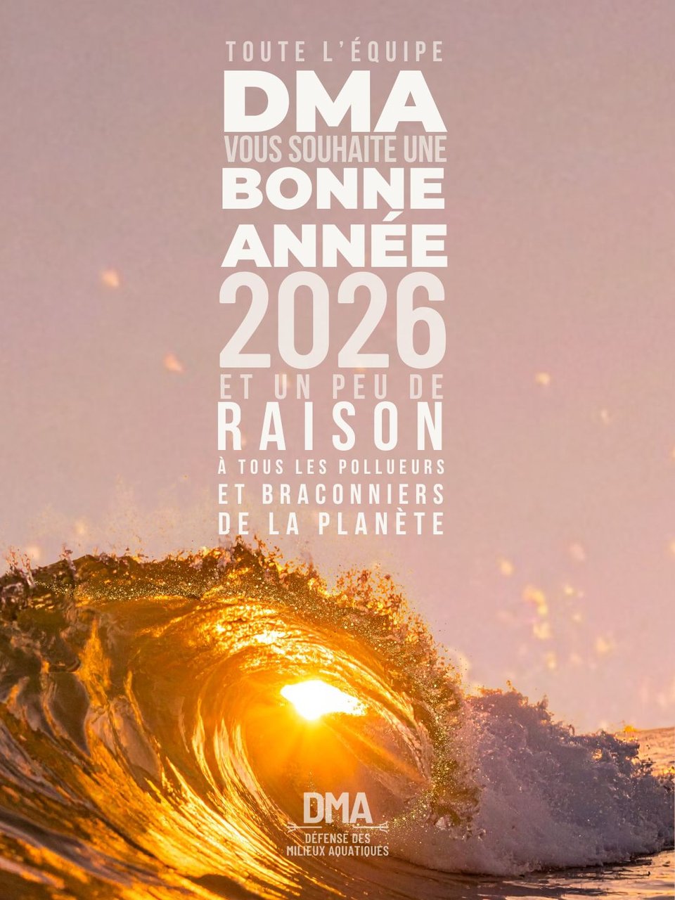 Newsletter de DÉFENSE DES MILIEUX AQUATIQUES Février 2026 