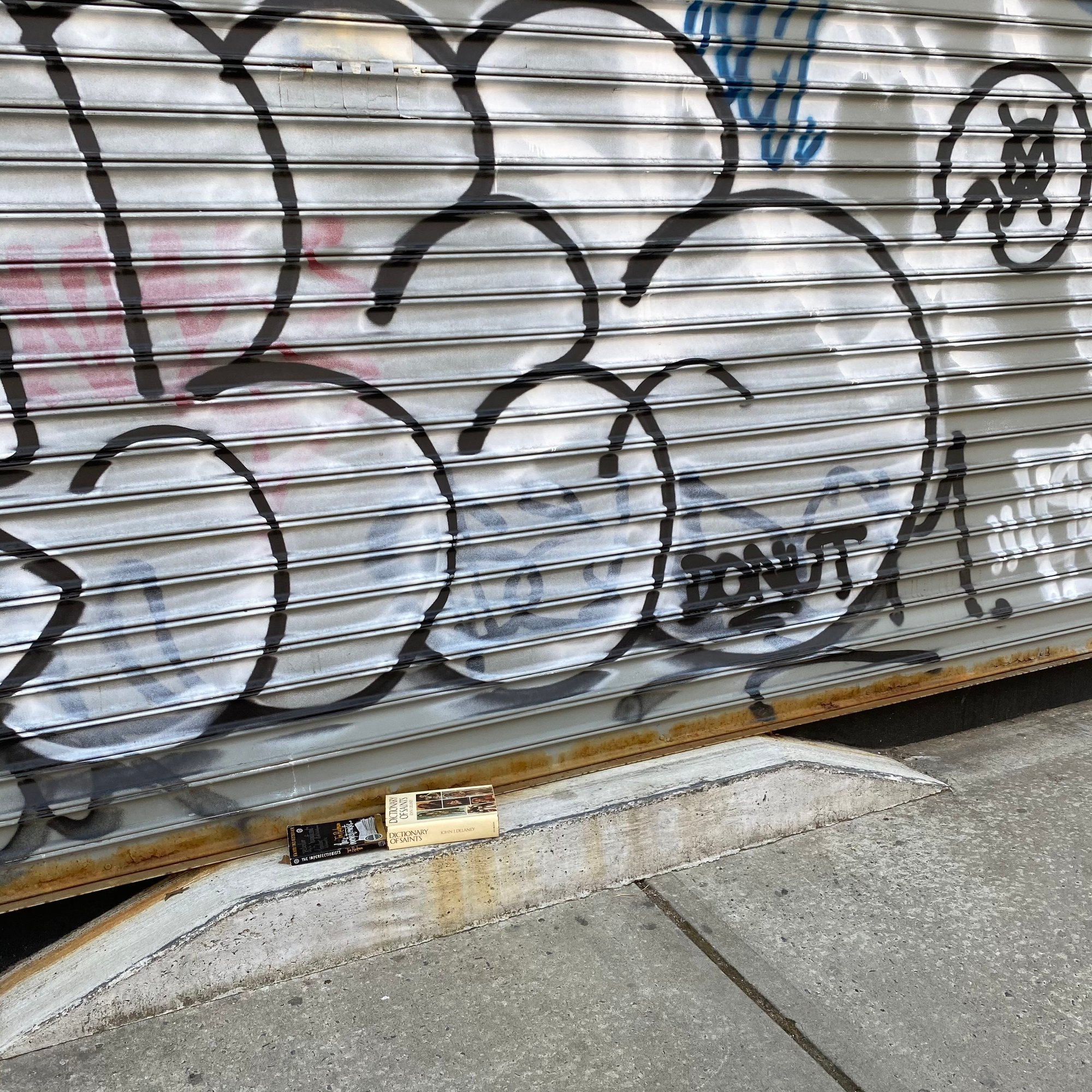Image of a storefront barrier featuring graffiti, one of which says donut, while on the sidewalk are two discarded books. The book on the left is The Imperfectionists by Tom Rachman and the one on the right is Dictionary of Saints by John J. Delaney.