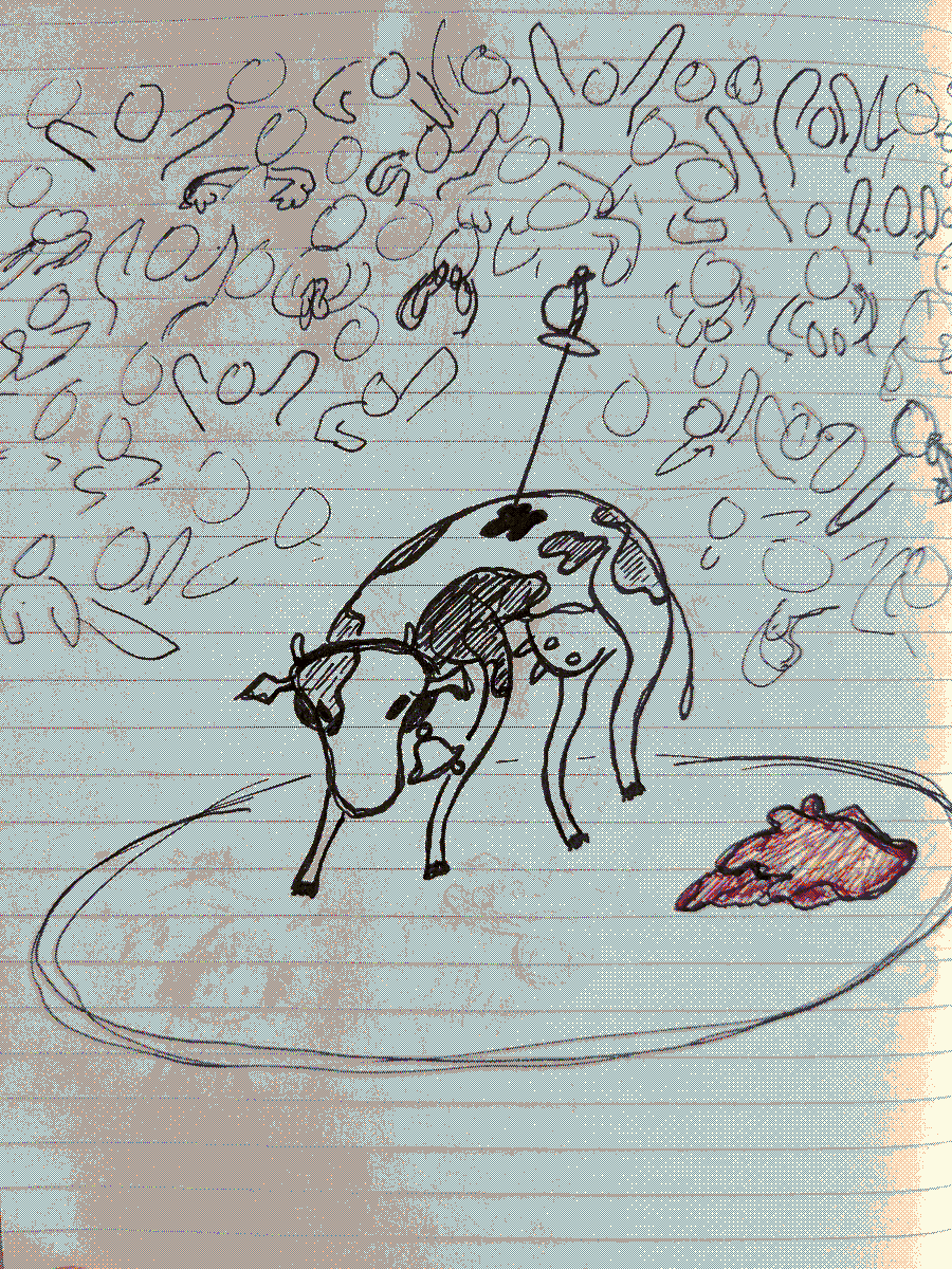 A skinny cow wearing a bell, alone in a bullfighting ring. The cow is pierced by a sabre. The crowd yells and taunts. A piece of red fabric lies on the ground.