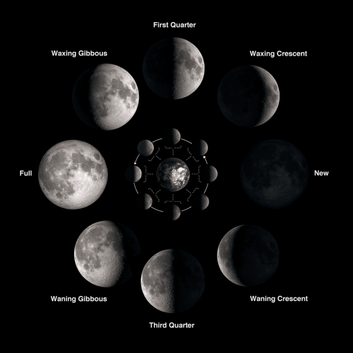Photographic diagram of the moon orbiting the earth, pictured at eight different points along a circle from New at 0º on the right edge, to waxing crescent at 45º up from there, first quarter at 90º, waxing gibbous at 135º, Full at 180º, and so on: with the third quarter at 270º. An outer ring of larger moon images show how the moon appears to the observer; a smaller inner diagram shows a not-to-scale schema of how these phases would appear if viewed from “above” the rotational axis of Earth & the orbital axis of Luna: consistently illuminated by the sun from the right side of the image, but also rotating in orbit.