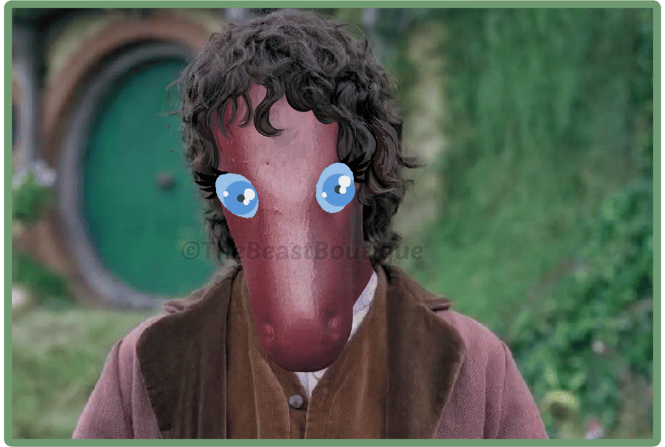 a digitally edited image for Elijah Wood as Frodo Baggins standing in front of Bag End, but his face has been replaced with the face of a horse figurine. The horse has crudely painted-on blue eyes with long eyelashes.
